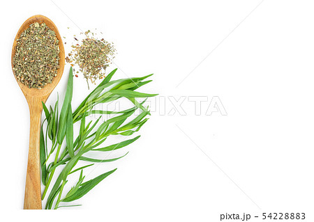 tarragon or estragon fresh and dried isolated on a white background with copy space for your text 54228883