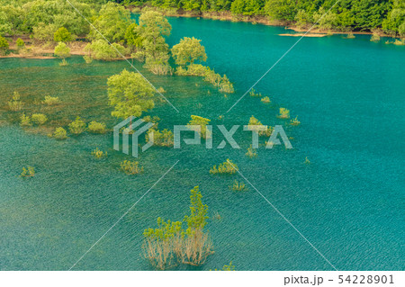 春の八幡平　秋扇湖 54228901