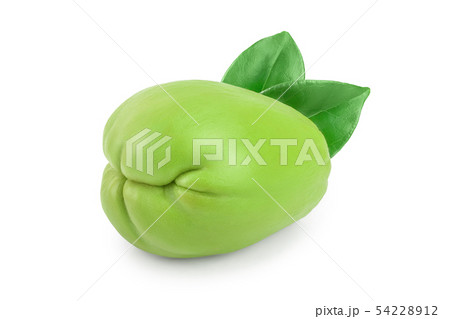 fresh Chayote vegetable isolated on white background 54228912