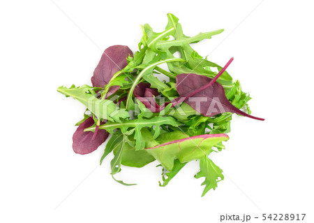 Mix of different salads isolated on white background. Top view. Flat lay 54228917