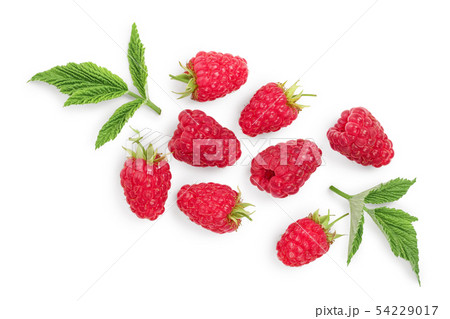 raspberries with leaves isolated on white background. Top view. Flat lay 54229017
