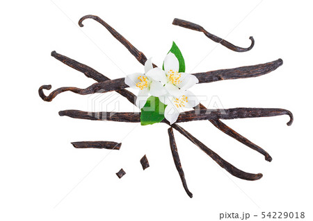 Vanilla sticks with flower and leaf isolated on white background. Top view. Flat lay Vanilla sticks with flower and leaf isolated on white background. Top view. Flat lay 54229018