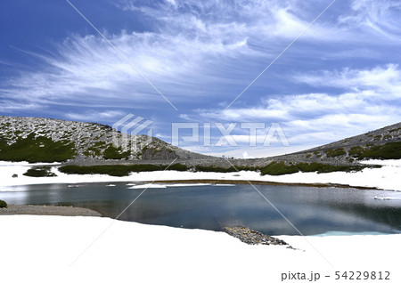 6月の乗鞍岳、畳平の風景(撮影地:乗鞍、畳平) 6月の乗鞍岳、畳平の風景(撮影地:乗鞍、畳平) 54229812