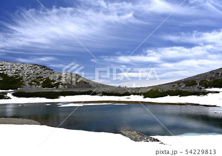 6月の乗鞍岳、畳平の風景(撮影地:乗鞍、畳平) 6月の乗鞍岳、畳平の風景(撮影地:乗鞍、畳平) 54229813