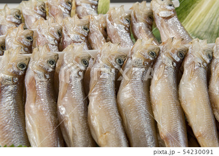 ししゃも 54230091