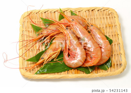 赤海老、エビ、魚貝類 赤海老、エビ、魚貝類 54231143
