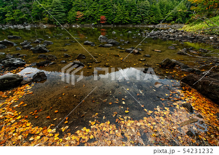 秋色の北八ヶ岳・亀甲池の風景 秋色の北八ヶ岳・亀甲池の風景 54231232