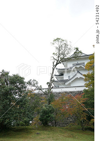 伊賀上野城 54231492