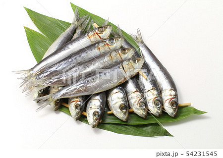 魚の干物、イワシの丸干し、笹の葉敷き白バック 54231545