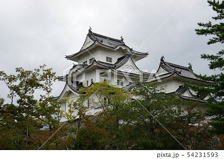 伊賀上野城 54231593