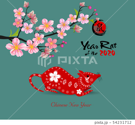 Happy Chinese New Year 2020 54231712