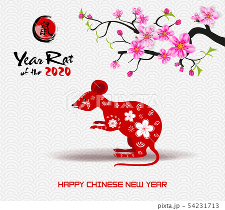 Happy Chinese New Year 2020 54231713