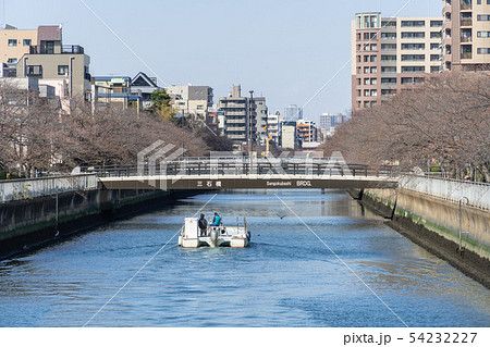 大横川　桜咲き始め 54232227