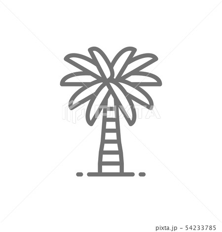 Coconut palm tree line icon. 54233785