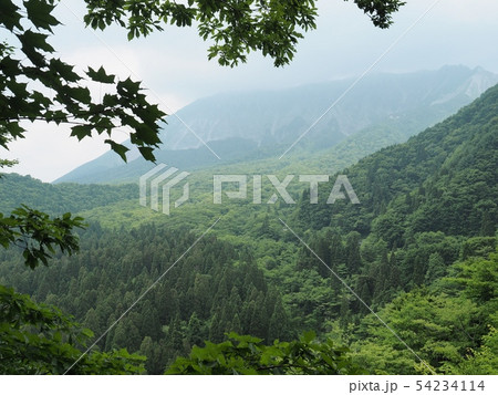 鍵掛峠から見る曇り空の大山南壁の眺望 54234114