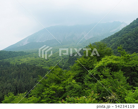 鍵掛峠から見る曇り空の大山南壁の眺望 鍵掛峠から見る曇り空の大山南壁の眺望 54234119