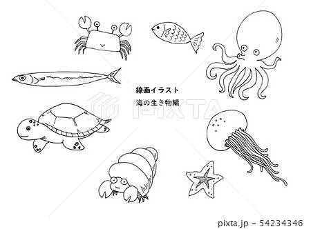 海の生き物イラストのイラスト素材