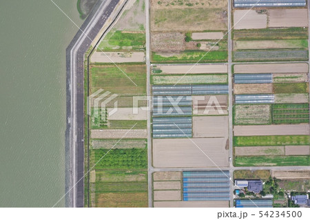 干拓地の農業エリア 干拓地の農業エリア 54234500
