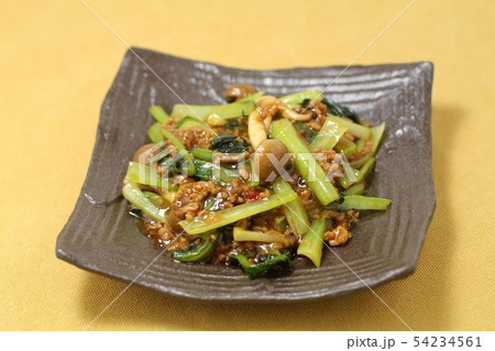 ひき肉とコマツナの中華炒め、肉と野菜炒め ひき肉とコマツナの中華炒め、肉と野菜炒め 54234561