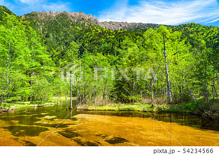 《長野県》新緑の上高地・田代池 54234566