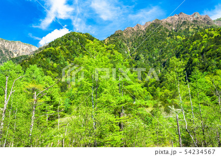 《長野県》新緑の上高地・田代池 54234567