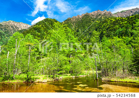 《長野県》新緑の上高地・田代池 54234568