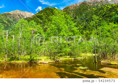 《長野県》新緑の上高地・田代池 54234573