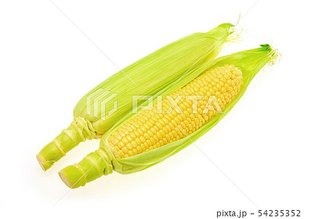 トウモロコシ　2本 54235352
