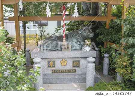 岡村天満宮の石牛（横浜市磯子区岡村） 54235747