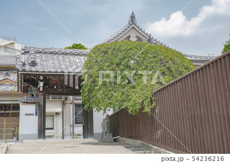 金剛院（横浜市磯子区岡村） 54236216