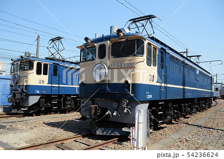 EF65形電気機関車 EF65形電気機関車 54236624