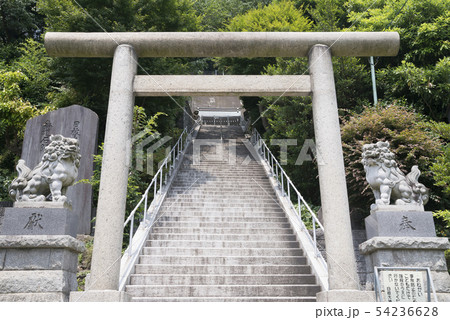 磯子日枝大神（横浜市磯子区磯子） 54236628