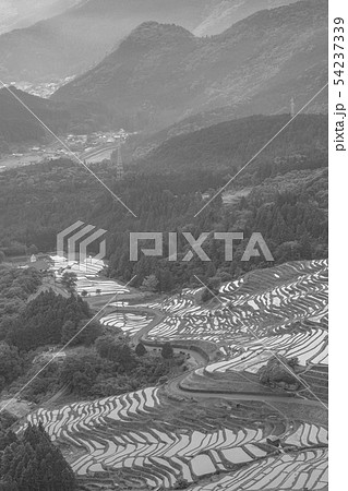 （セピア）丸山千枚田　夕景 54237339