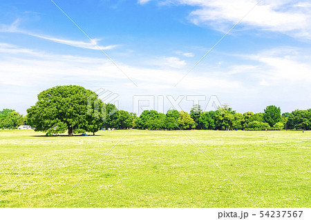 新緑と青空の広がる風景 54237567