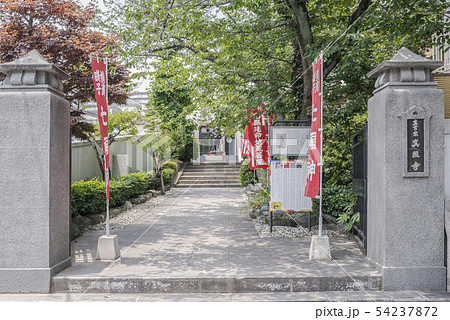 真照寺(横浜市磯子区磯子) 真照寺(横浜市磯子区磯子) 54237872