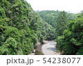 「清滝川」は北区の山奥から紅葉の名所「高雄。清滝」を通り保津川と合流する 54238077