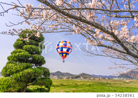 気球の飛ぶまち加西！春を告げる、桜と気球のコラボ！（兵庫県加西市東笠原町）※作品コメント欄に撮影位置 54238561