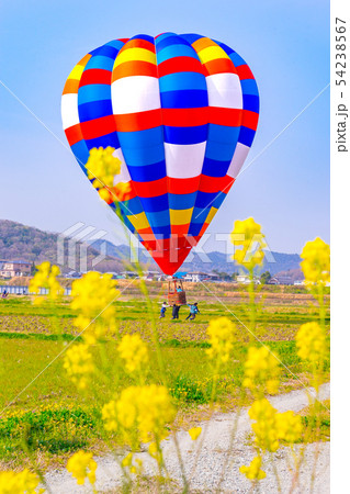 春を告げる、菜の花と気球のコラボ!(兵庫県加西市東笠原町)※作品コメント欄に撮影位置 春を告げる、菜の花と気球のコラボ!(兵庫県加西市東笠原町)※作品コメント欄に撮影位置 54238567