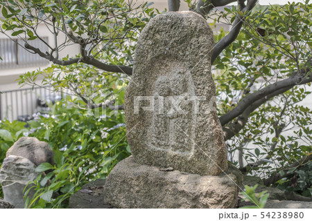 宝積寺（横浜市磯子区上町） 54238980