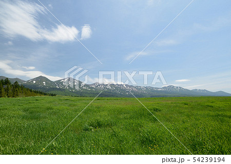 白金模範牧場 54239194