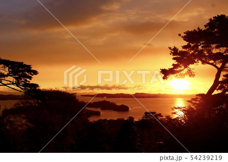 日本三景 松島 日の出 日本三景 松島 日の出 54239219