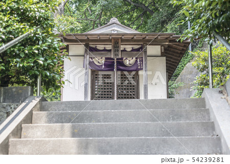 白山神社(横浜市磯子区上町) 白山神社(横浜市磯子区上町) 54239281