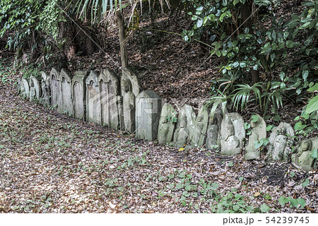 宝生寺(横浜市南区堀ノ内町) 宝生寺(横浜市南区堀ノ内町) 54239745