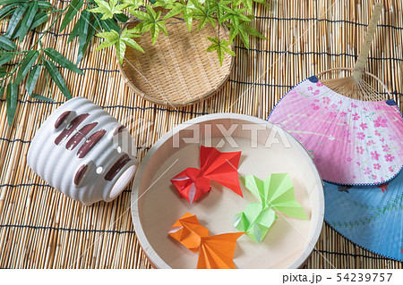 夏の風物詩 54239757