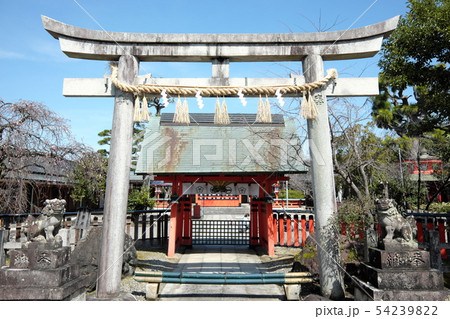 車折神社　中門と本殿 54239822