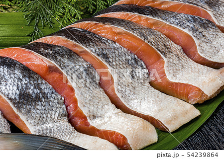 北海道の新鮮な鮭 54239864