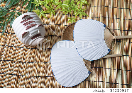 夏の風物詩 夏の風物詩 54239917