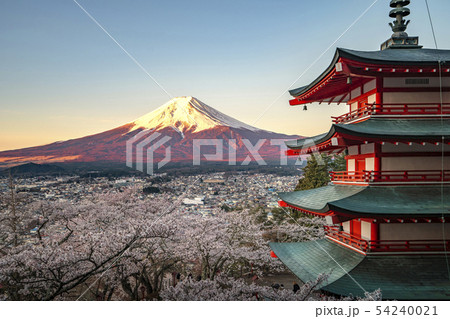 Red pagoda and red Fuji in morning time 54240021