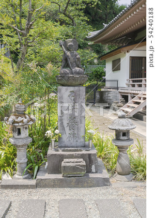 弘誓院(横浜市南区睦町) 弘誓院(横浜市南区睦町) 54240188
