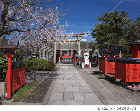 車折神社　中門と本殿 54240771